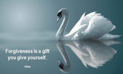 eb064acd15582971c57986423c1e241b