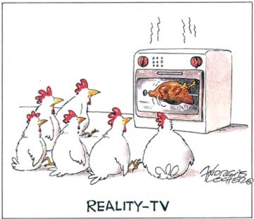 funny-chicken-reality-tv